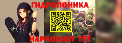 молекула духа Гусь-Хрустальный