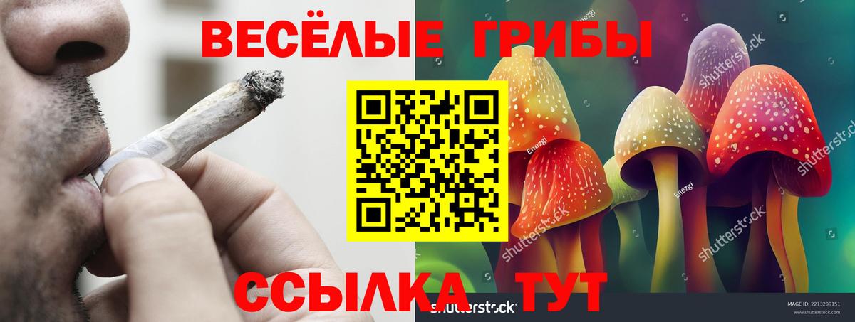 Псилоцибиновые грибы MAGIC MUSHROOMS  Псилоцибиновые грибы мухоморы  Вход с VPN  Ликино-Дулёво 